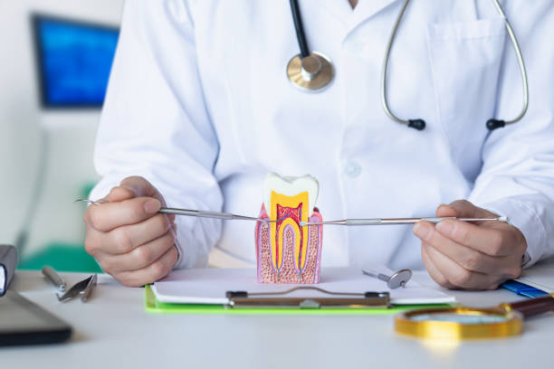 Best Tooth Pain Emergency Relief  in Oberlin, OH